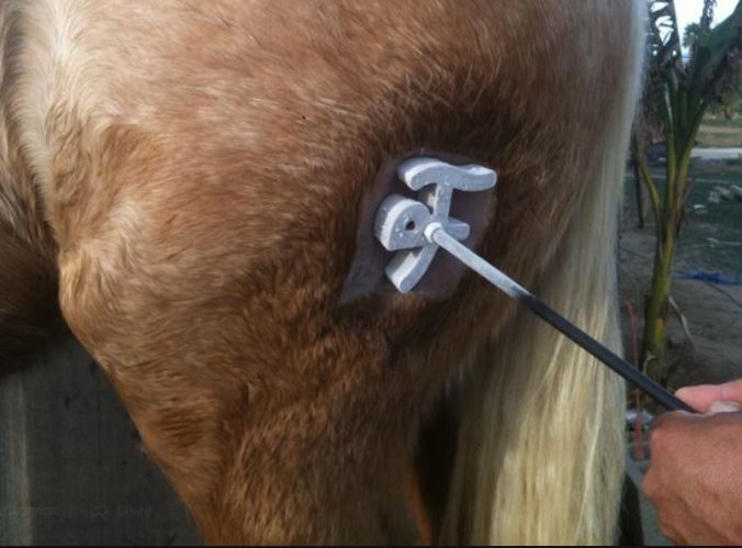 Prieto Branding Irons at All American Trailers in Norco, CA